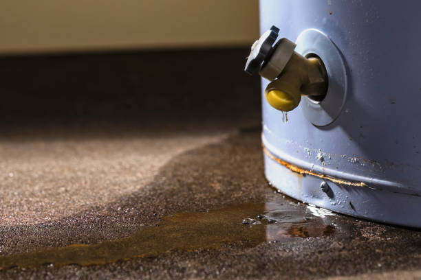 Best Commercial water damage restoration  in Ansted, WV