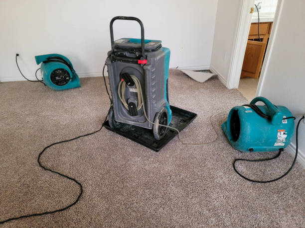 Best Local water damage restoration  in Ansted, WV