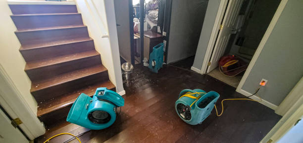 Best Water damage contractors near me  in Ansted, WV