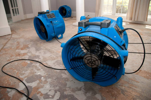 Reliable Ansted, WV Water damage restoration Solutions