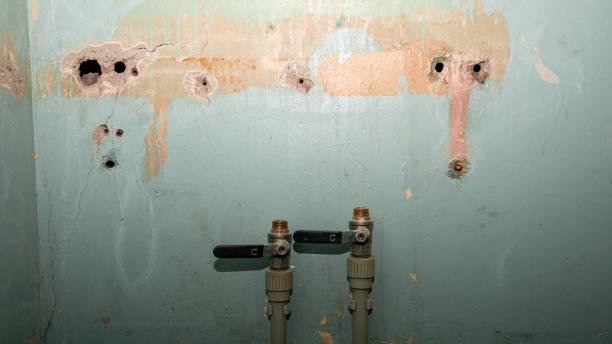 Best 24/7 water damage repair  in Ansted, WV