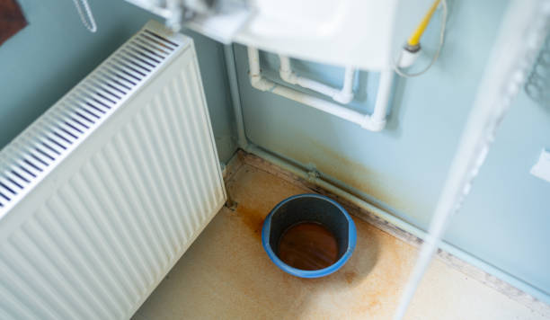 Best Water damage contractors near me  in Ansted, WV