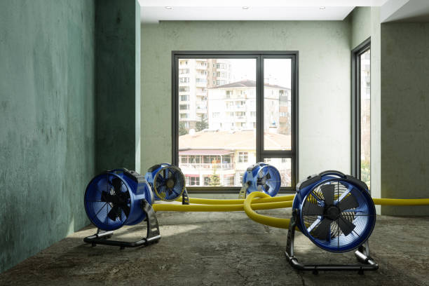 Best Emergency water damage restoration  in Ansted, WV