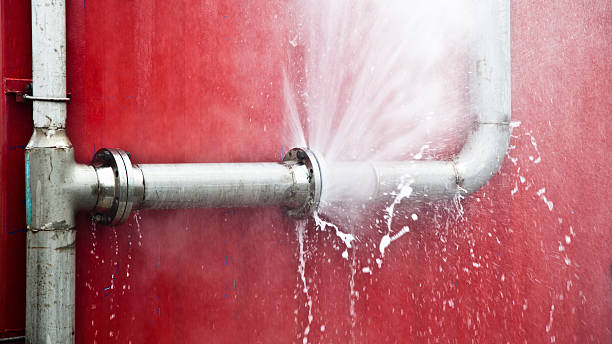 Best Carpet water damage restoration  in Ansted, WV