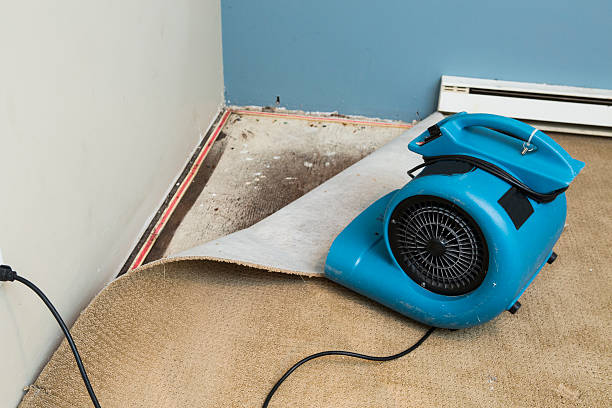 Carpet water damage restoration in Ansted, WV